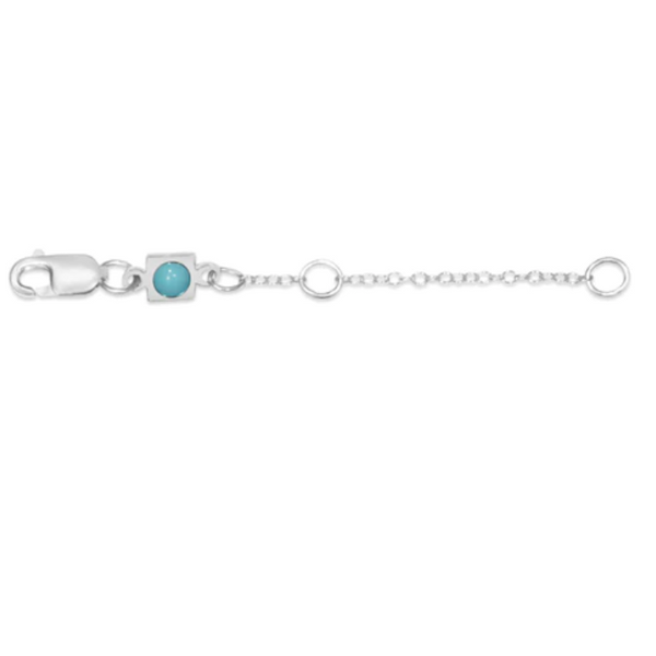 enewton® 2" Sterling Extender for Necklaces