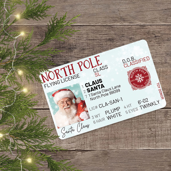 Santa's Route® Santa's Lost Flying License
