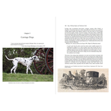 Dogs Working Origins & Traditional Tasks - Book