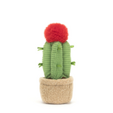 Jellycat® Amuseable Moon Cactus