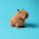 Jellycat® Clyde Capybara