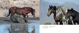 Wild Horses of the West Photography Book