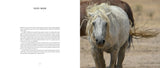 Wild Horses of the West: Photography Coffee Table Book