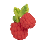 Oli & Carol® Teething and Bath Toy-  Valery the Raspberry
