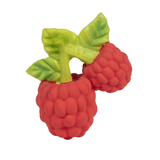 Oli & Carol® Teething and Bath Toy-  Valery the Raspberry