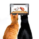 Fred & Friends® Live Feed Bird Feeder