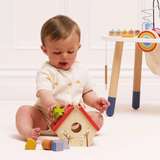 Le Toy Van, Inc®  Wooden Bird House Shape Sorter