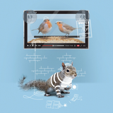 Fred & Friends® Live Feed Bird Feeder