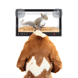 Fred & Friends® Live Feed Bird Feeder