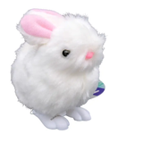 Farm Fresh® Wind Up Bunny