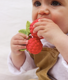 Oli & Carol® Teething and Bath Toy-  Valery the Raspberry