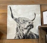 Highland Cow on Canvas - Ginger - Black & White