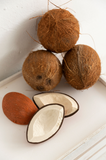 Oli & Carol® Teething and Bath Toy-  CoCo the Coconut